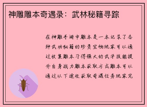 神雕雕本奇遇录：武林秘籍寻踪